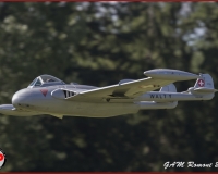 TSR Watermark - 0475